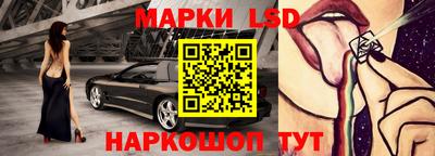 гидра Шахты