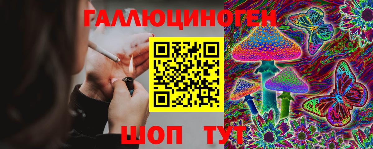 Тимашёвск  Галлюциногенные грибы Psilocybe  Вход с VPN 